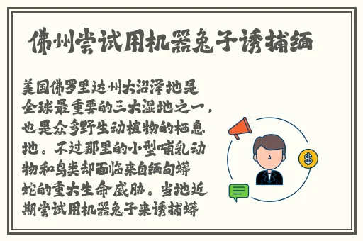 91吃瓜事件黑料吃瓜